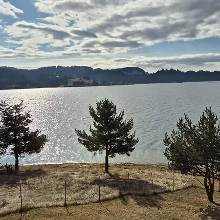 Divna Forest & House * Dospat