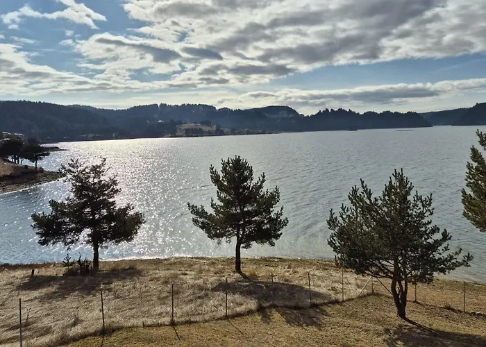 Divna Forest & House * Dospat