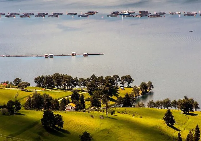 Divna Forest & House Dospat