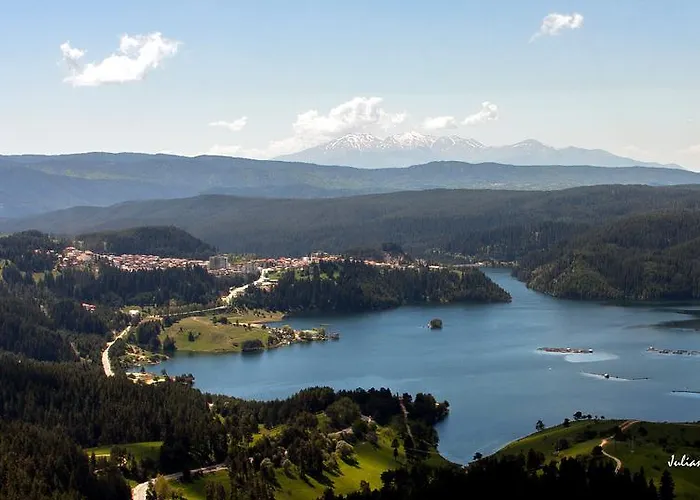 Guest house Divna Forest & House *