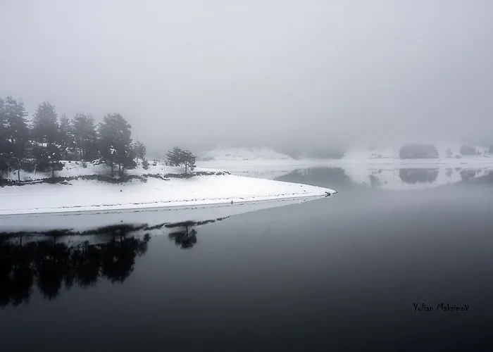 بيت ضيافة Divna Forest & House