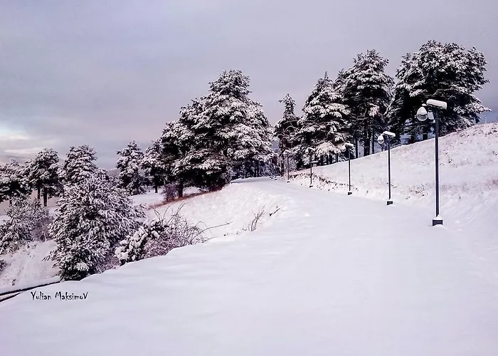 Divna Forest & House Guest house