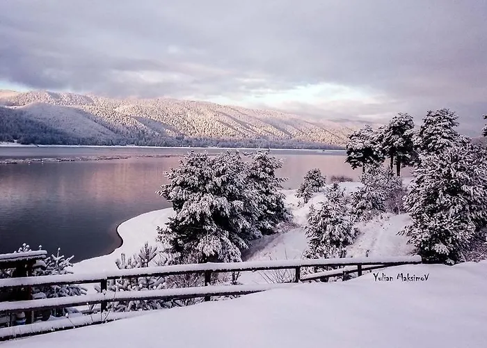 Divna Forest & House Guest house *