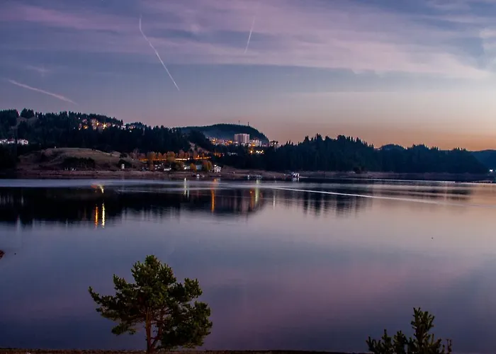 Divna Forest & House *