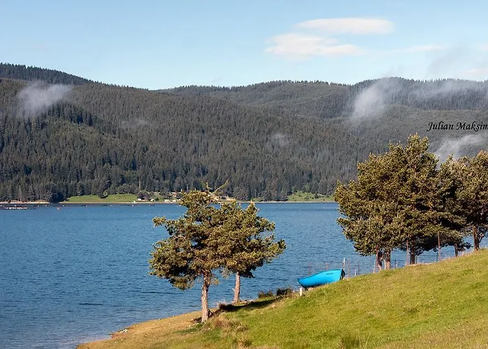 Divna Forest & House Dospat