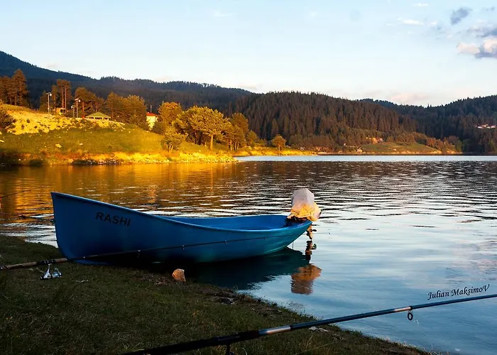 Guest house Divna Forest & House