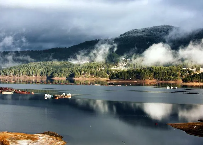 Divna Forest & House *