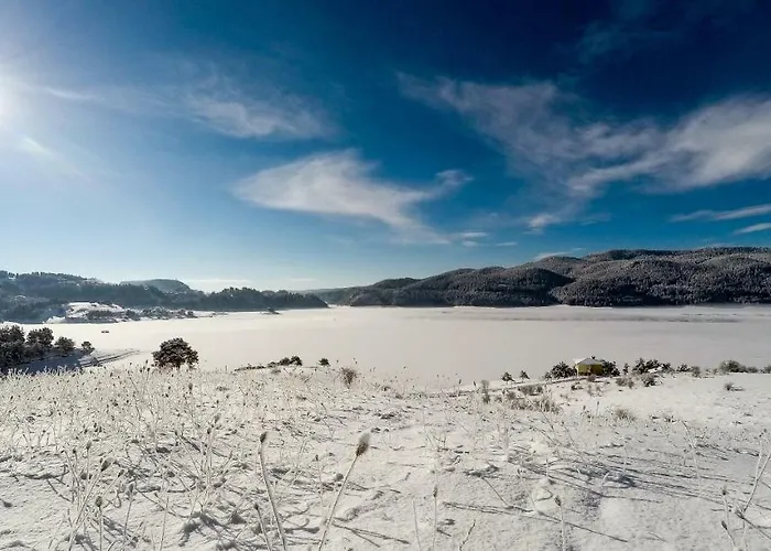 Divna Forest & House Guest house