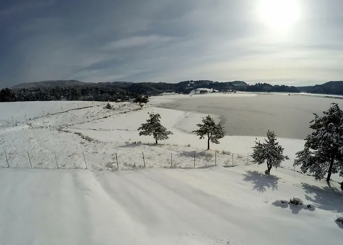 Guest house Divna Forest & House Dospat