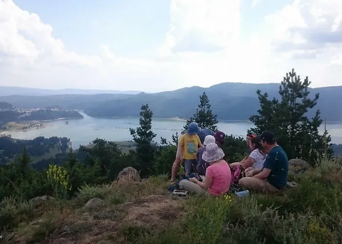 Guest house Divna Forest & House Dospat